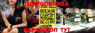 гидропоника Ставрополь