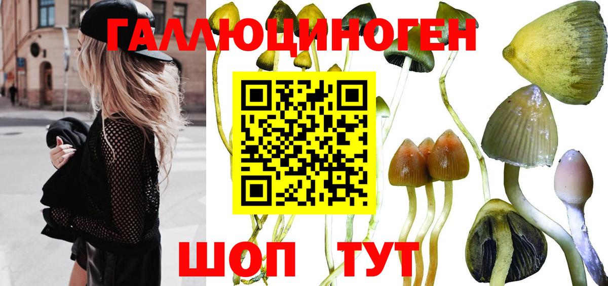 Галлюциногенные грибы мицелий Краснотурьинск
