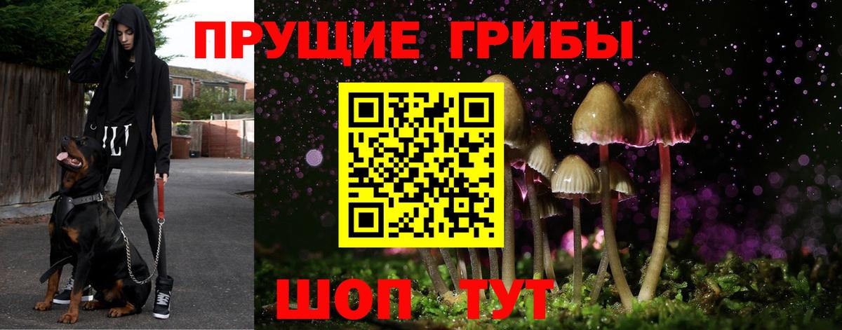 Краснотурьинск  Галлюциногенные грибы мицелий  Вход с VPN  Псилоцибиновые грибы Psilocybe 