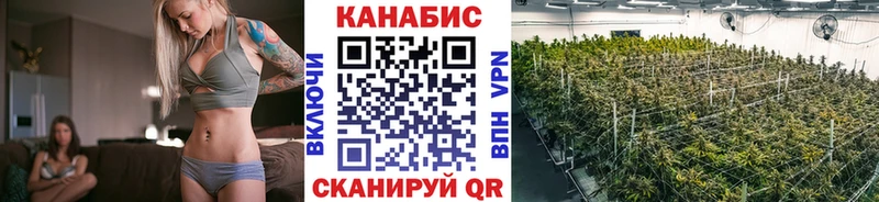 купить наркотики сайты  Краснотурьинск  Конопля семена 